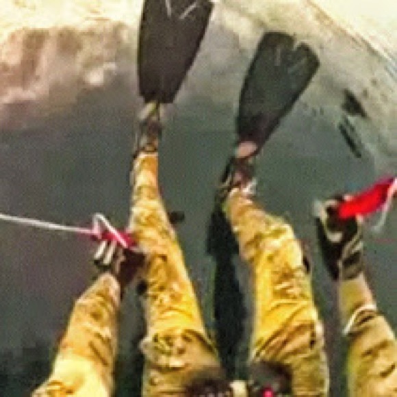 Meet your Posher, Dominic - Picture 8 of 8